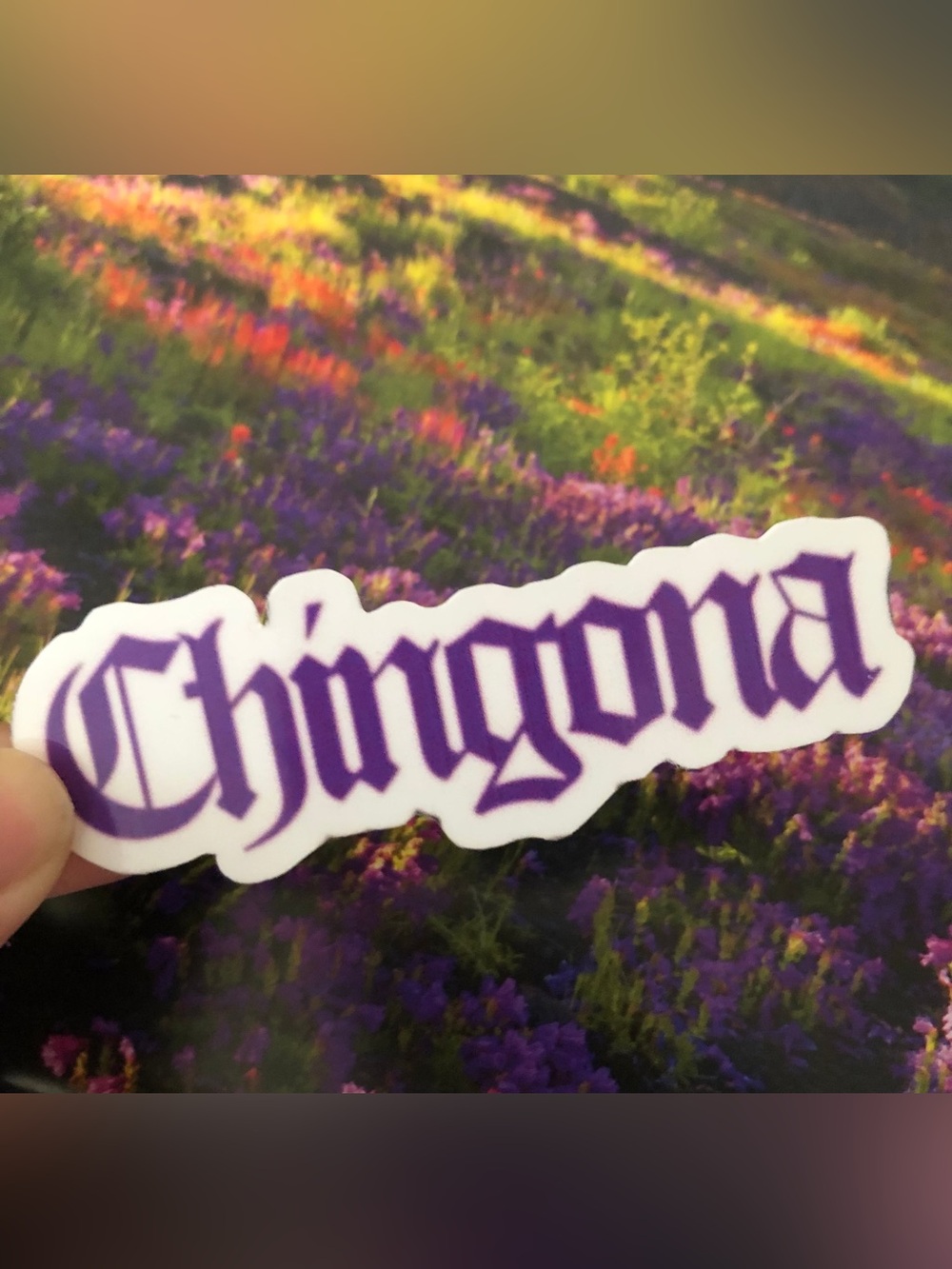 Chingona sticker
SKU406